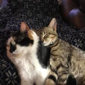 Meet your Posher, Lesley